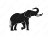 Anthroly Logo
